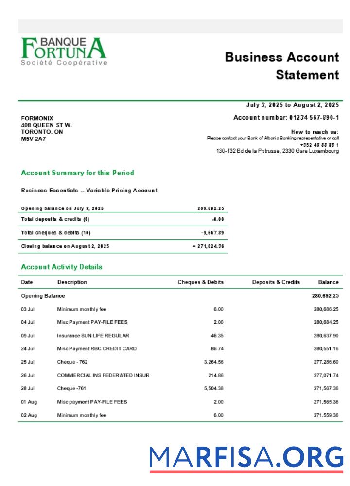 Blank Fortuna Banque business firm statement Word and PDF format (1) download for verification